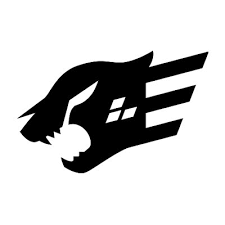 Fastify Logo